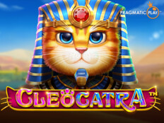 Dünyanın en pahalı oyuncağı. Cat casino.68